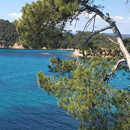 شقة T3 Lumineux Traversant Totalement Neuf En Face De La Front De Vue Sur Les Iles Vue Panoramique Assuree De La Centre Du Lavandou 3eme Etage Avec Ascenseur T3 *