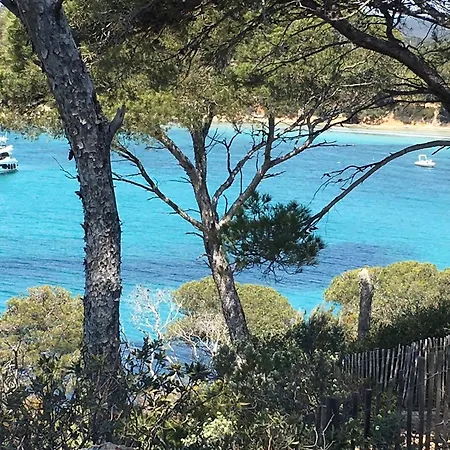 Apartamento T3 Lumineux Traversant Totalement Neuf En Face De La Front De Vue Sur Les Iles Vue Panoramique Assuree De La Centre Du Lavandou 3eme Etage Avec Ascenseur T3 *