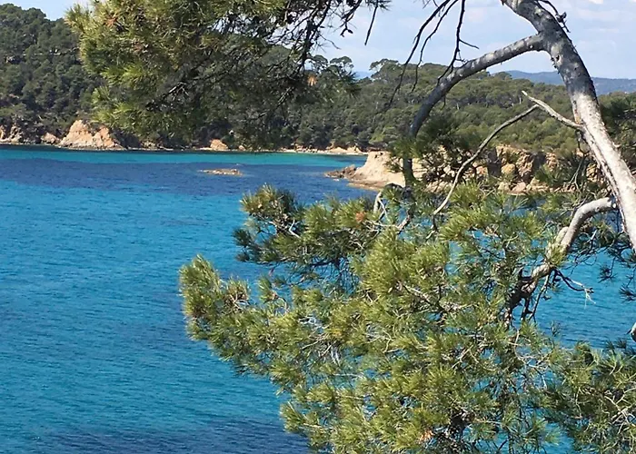 Lägenhet T3 Lumineux Traversant Totalement Neuf En Face De La Front De Vue Sur Les Iles Vue Panoramique Assuree De La Centre Du Lavandou 3eme Etage Avec Ascenseur T3 *